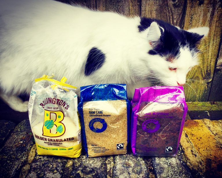 Three bags of different sugars – golden granulated, raw cane and dark unrefined – with a white and black cat behind them