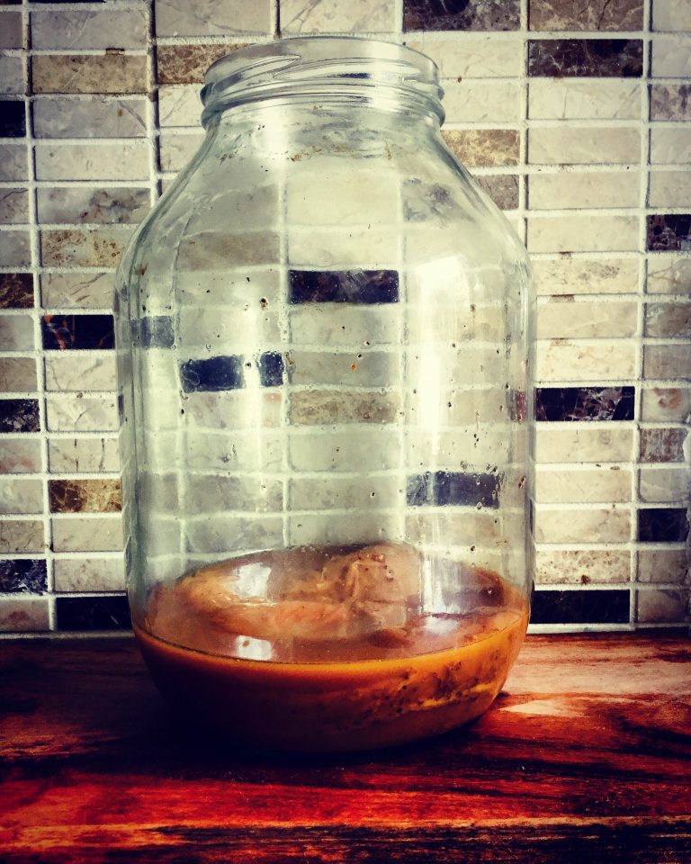 A SCOBY sitting in starter liquid at the bottom of a large glass jar
