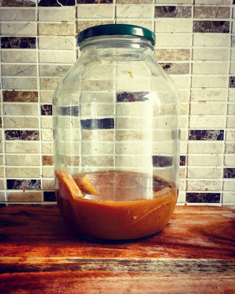 A SCOBY stored in starter liquid in a lidded glass jar