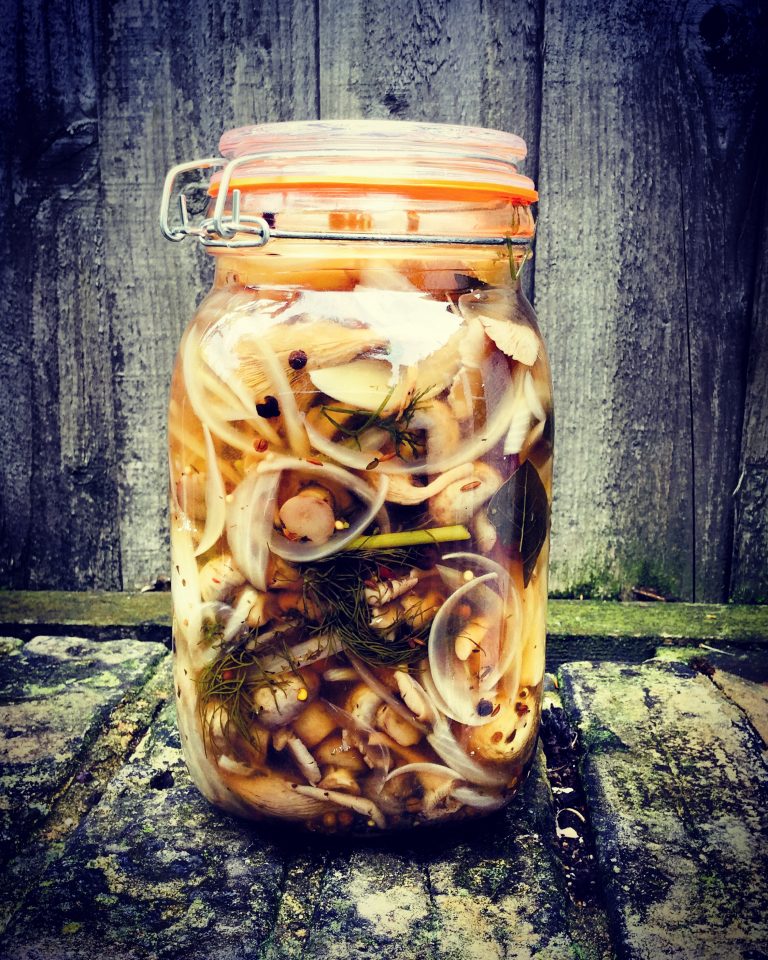 A clip-top jar of pickled mushrooms with sliced onions, dill and peppercorns