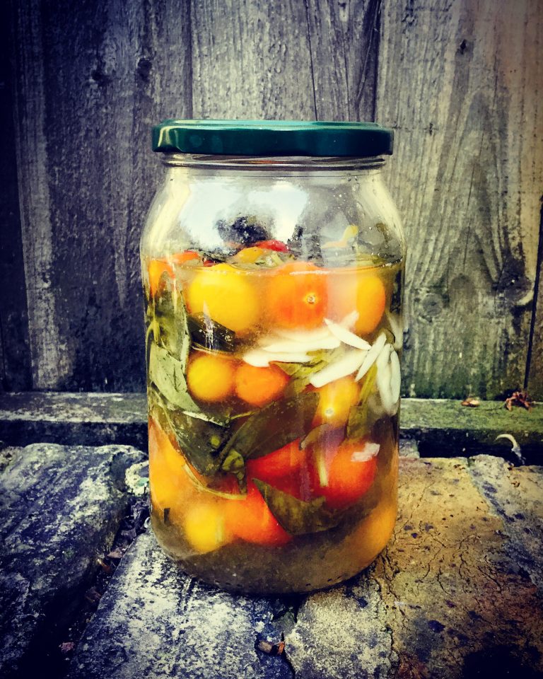 A lidded jar of finished fermented cherry tomatoes with basil and garlic