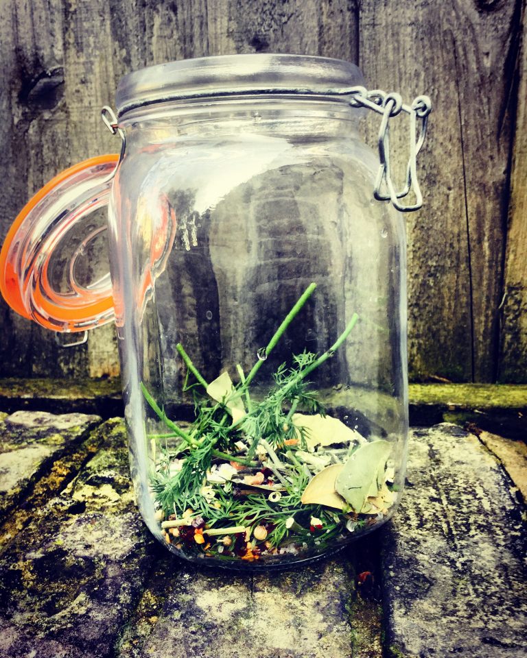 Dill, bay leaves, garlic and pickling spices in the bottom of a clip-top jar