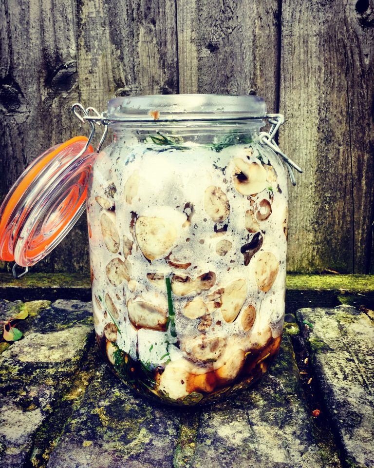 A clip-top jar of cooked mushrooms with foam on top after the cooled liquid was poured over