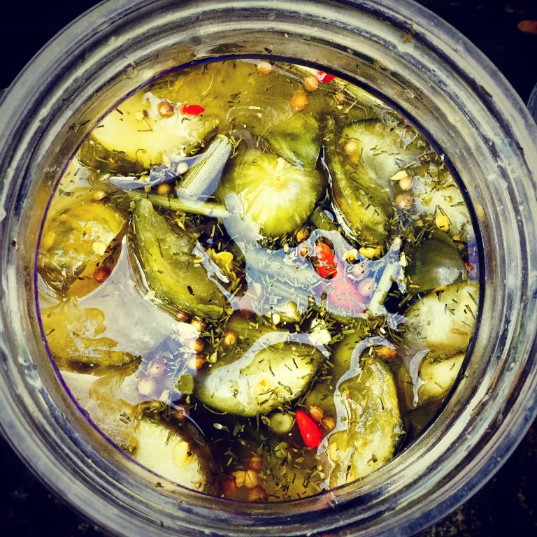Top view of fermenting cucumber slices and spices in brine with some scum on the surface
