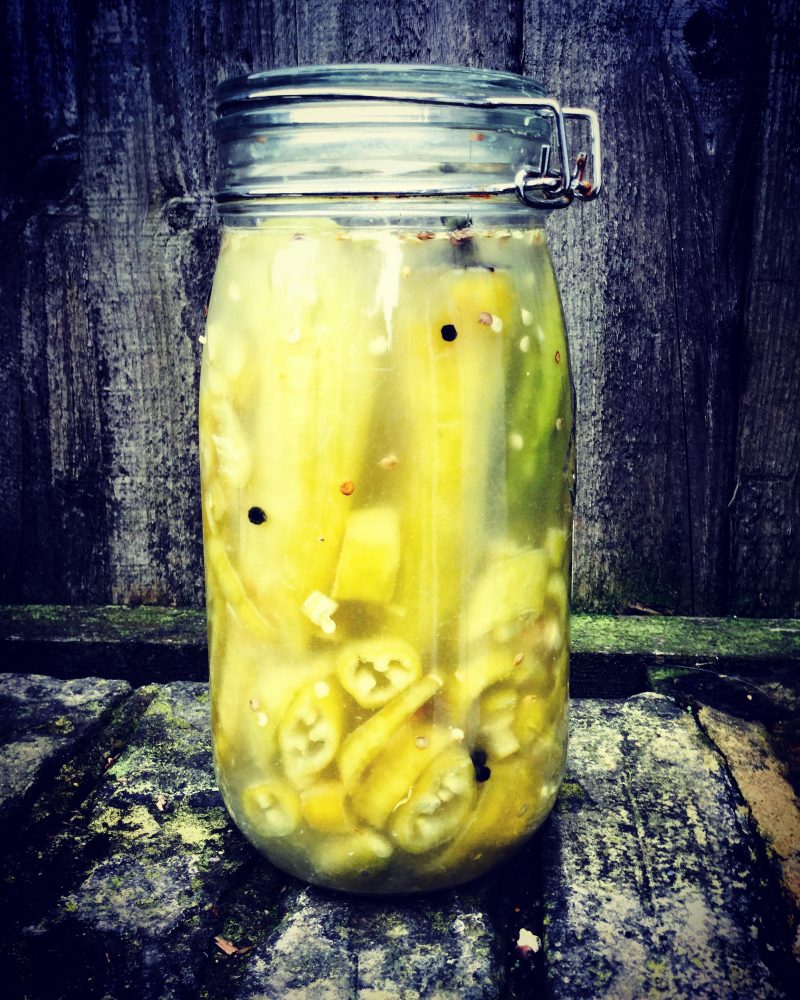 Quick and easy fermented peppers recipe