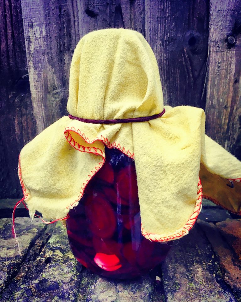 A jar of fermenting beets covered with a yellow cloth tied with a band