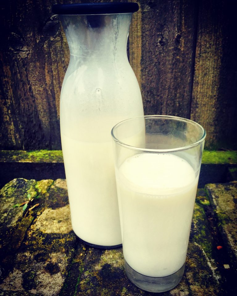 A bottle and a glass of finished homemade kefir on a stone wall